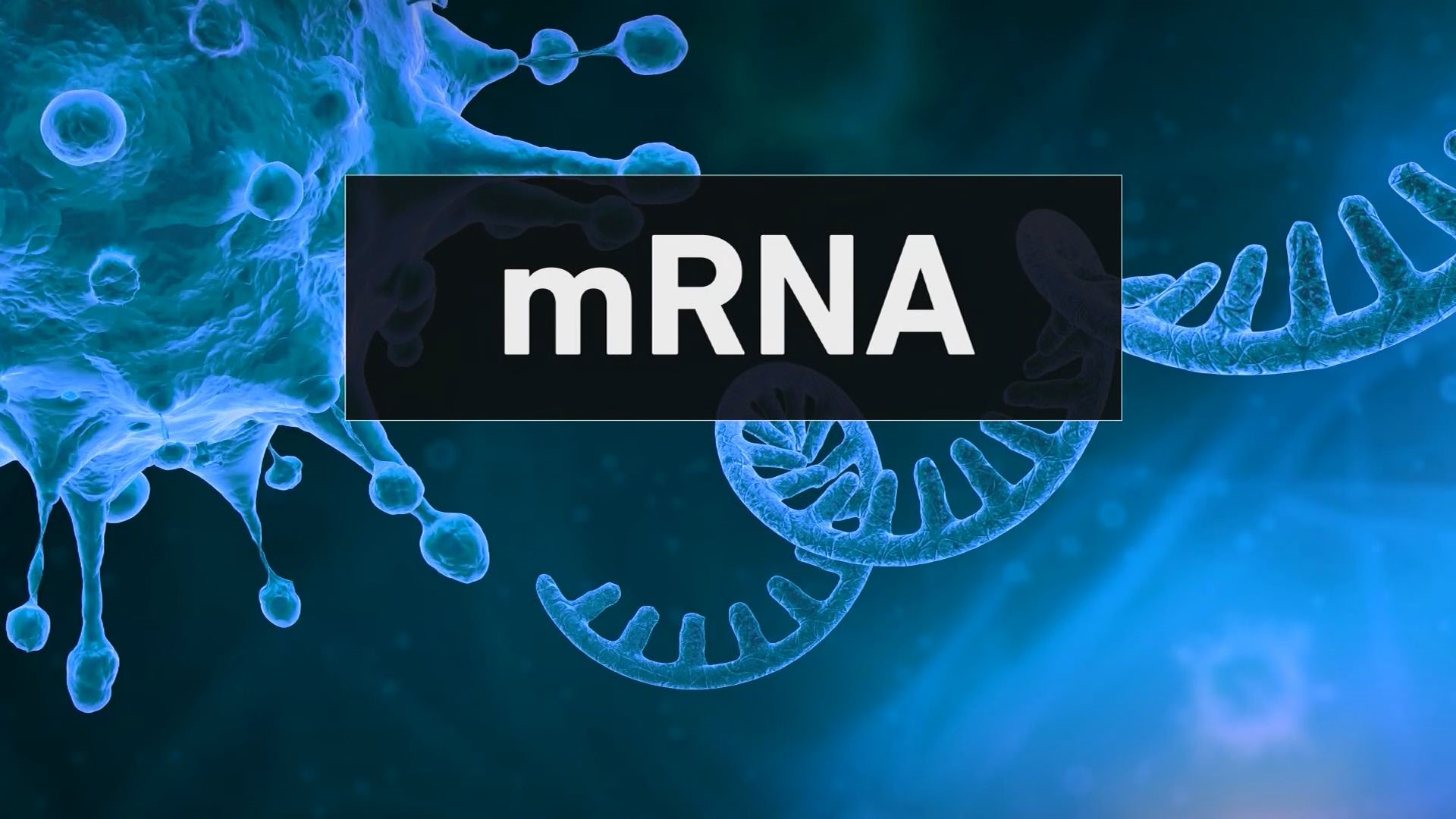 mRNA
