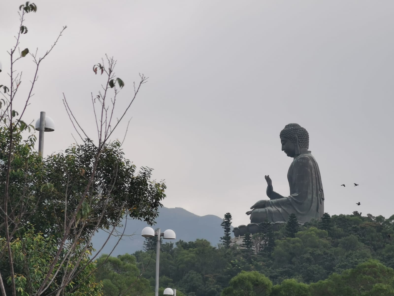 Tian Tan Buddha in Hong Kong