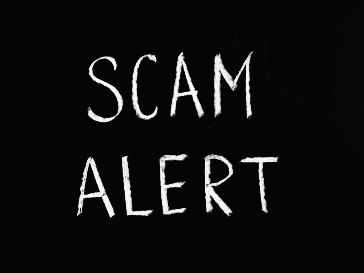 scam alert letting text on black background