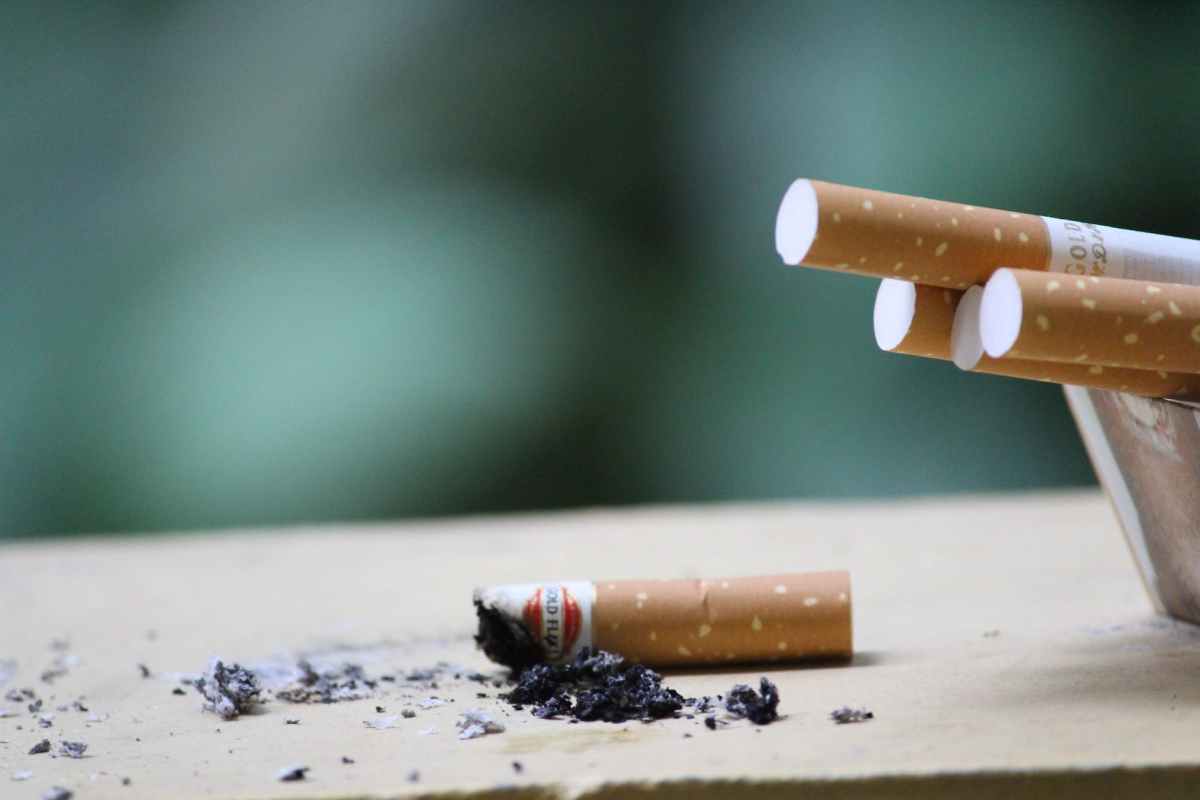 close up photo of cigarette ashes