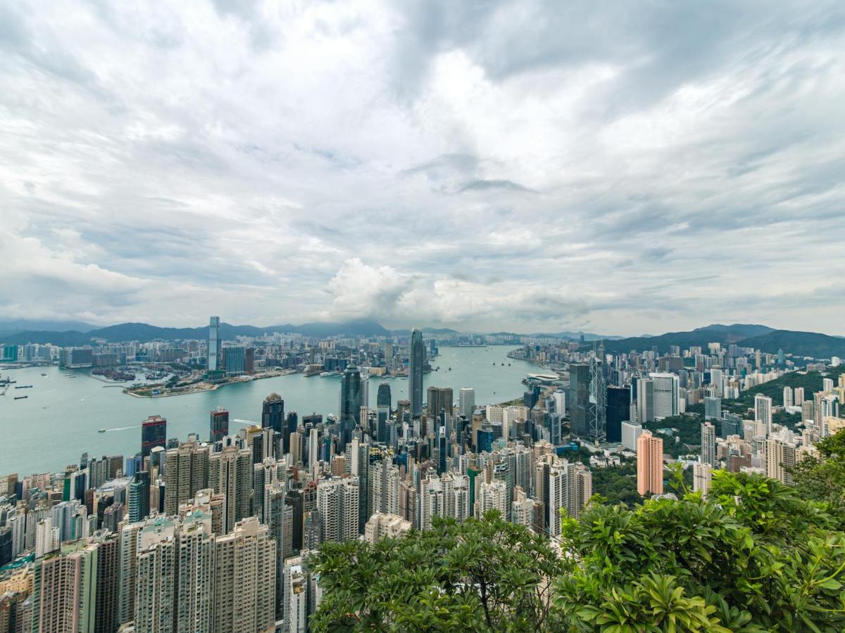 city buildings and green trees near ocean