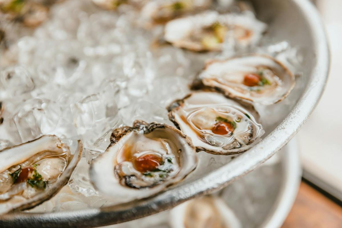 close up of fresh oysters on crushed ice