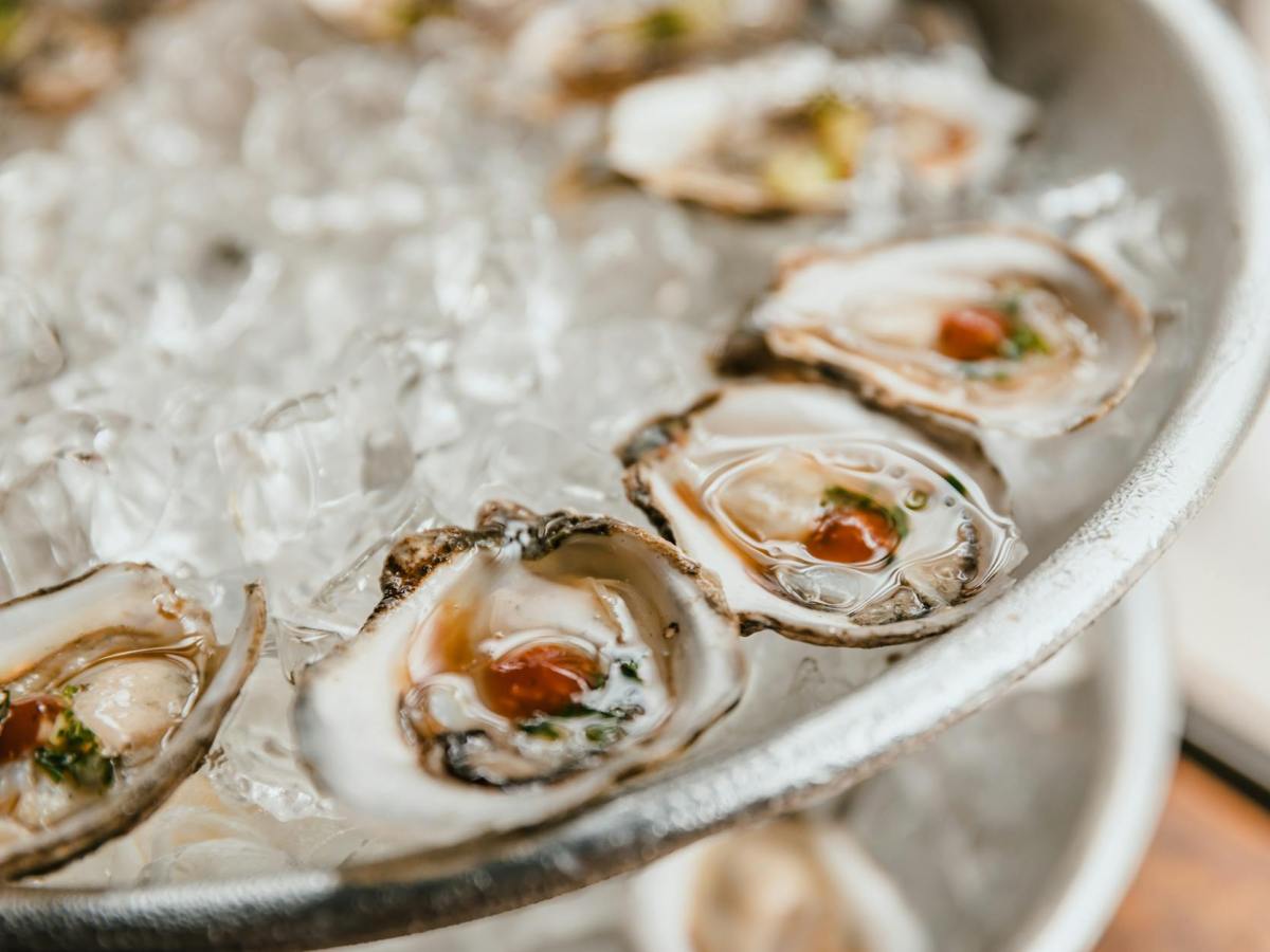 close up of fresh oysters on crushed ice