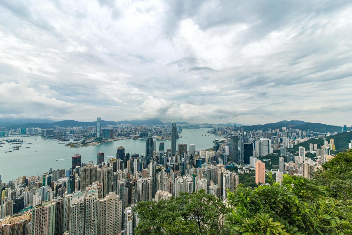 city buildings and green trees near ocean