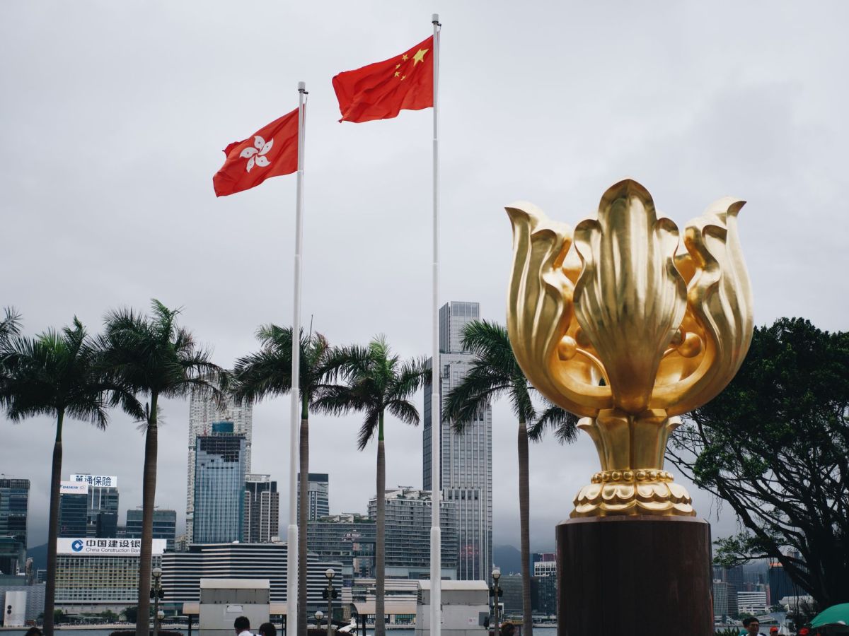 view from the golden bauhinia square
